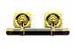 Peti warna perunggu swing bar set SL004 dengan bar baja dan lugs zamak